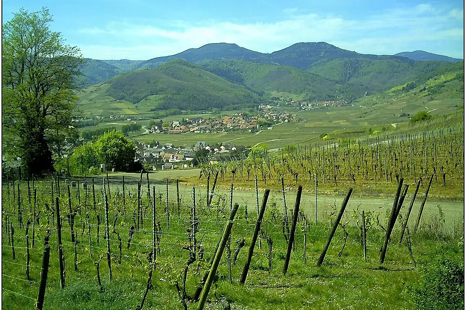 Authentischer Reisemoment in Elsass – passend zu Beste Reisezeit für eine Busreise Elsass – Reiseguide