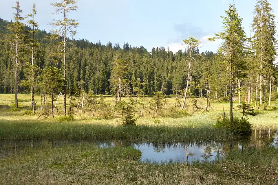 Landschaft und Sehenswürdigkeiten in Bayerischen Wald für Singlereise Bayerischer Wald mit dem Bus – Reiseguide