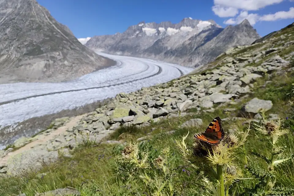 Authentischer Reisemoment in Wallis – passend zu Busreise Wallis übers Wochenende – Route & Leistungen