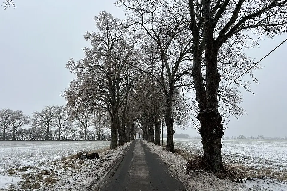 Landschaft und Sehenswürdigkeiten in Rügen für Adventsreise Rügen mit dem Bus – Dauer & Komfort