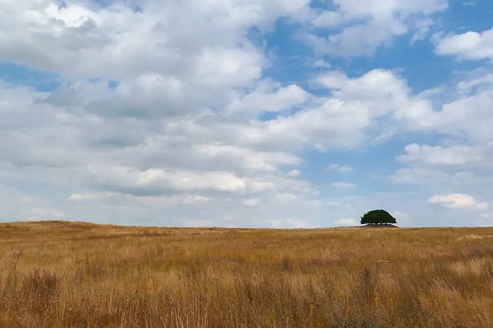 Landschaft und Sehenswürdigkeiten in Mecklenburgischen Seenplatte für Busreise Mecklenburgische Seenplatte für Familien – Reiseguide