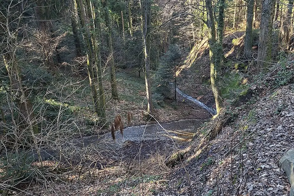 Landschaft und Sehenswürdigkeiten in Vorarlberg für Silvesterreise Vorarlberg mit dem Bus – ehrlich eingeordnet