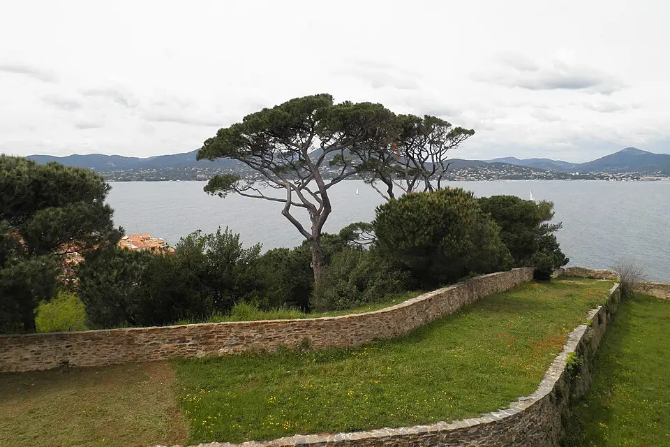 Authentischer Reisemoment in Côte d’Azur – passend zu Singlereise Côte d’Azur mit dem Bus – Dauer & Komfort