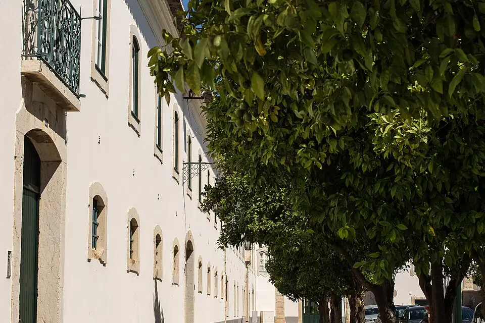 Authentischer Reisemoment in Algarve – passend zu Busreise Algarve mit wenig Gehstrecke – ehrlich eingeordnet