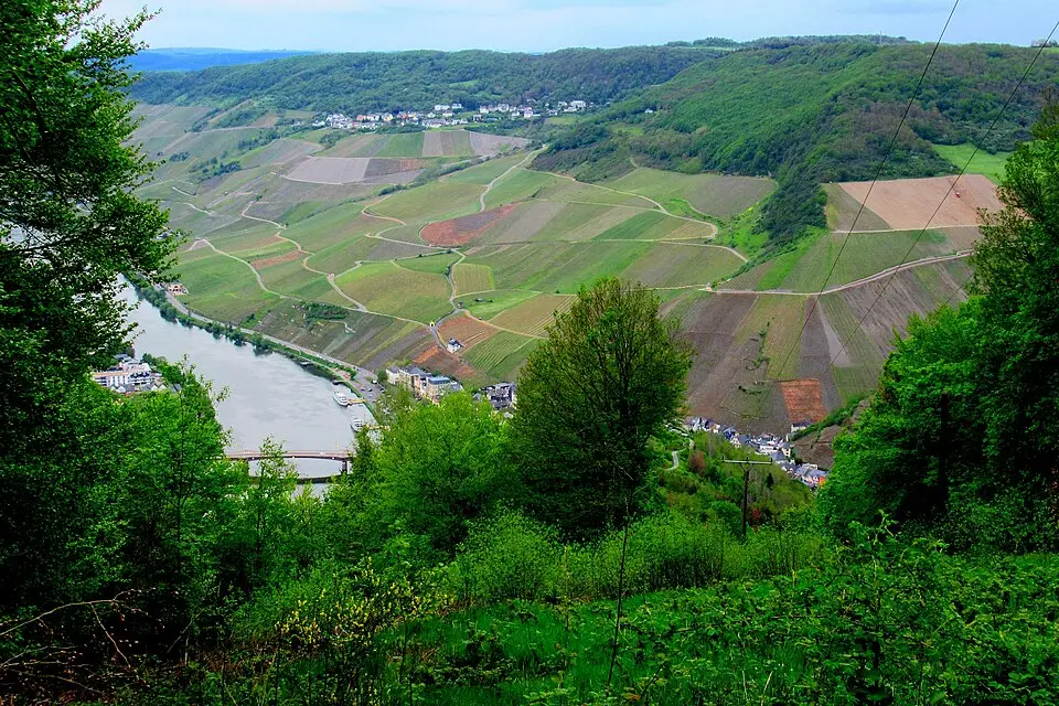 Stimmungsvolle Reiseansicht aus Mosel für Naturreise Mosel mit dem Bus – ehrlich eingeordnet