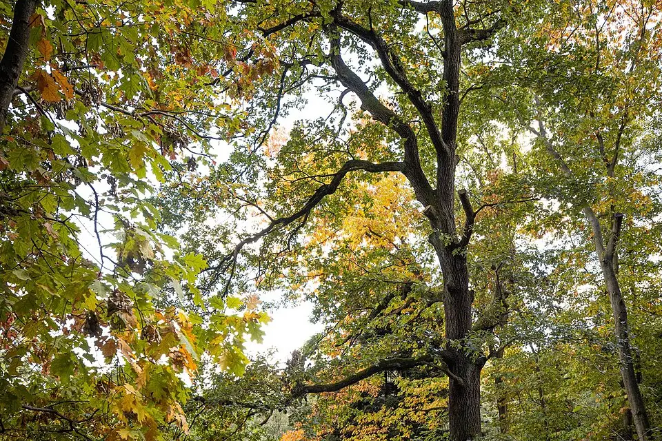 Landschaft und Sehenswürdigkeiten in Dresden für Vereinsreise Dresden mit dem Bus – Tipps zur Auswahl