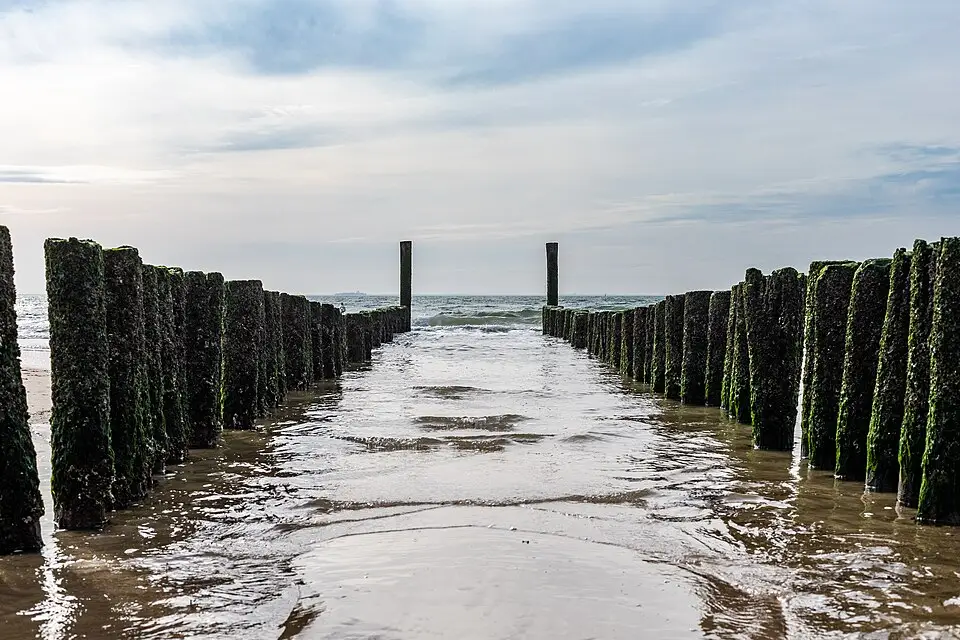 Authentischer Reisemoment in Zeeland – passend zu Busreise Zeeland in kleiner Gruppe – Dauer & Komfort