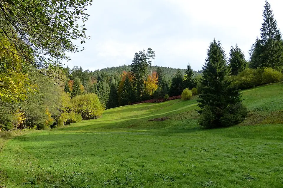 Landschaft und Sehenswürdigkeiten in Schwarzwald für Schwarzwald – Seniorenreise mit Abholservice