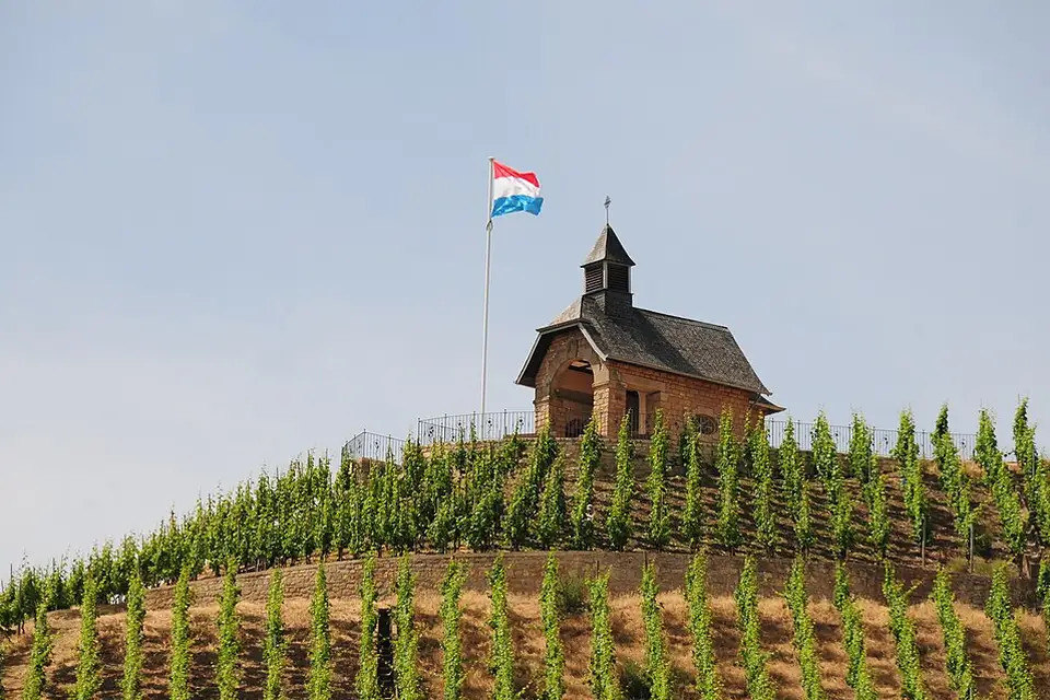 Stimmungsvolle Reiseansicht aus Mosel für Adventsreise Mosel mit dem Bus – ehrlich eingeordnet