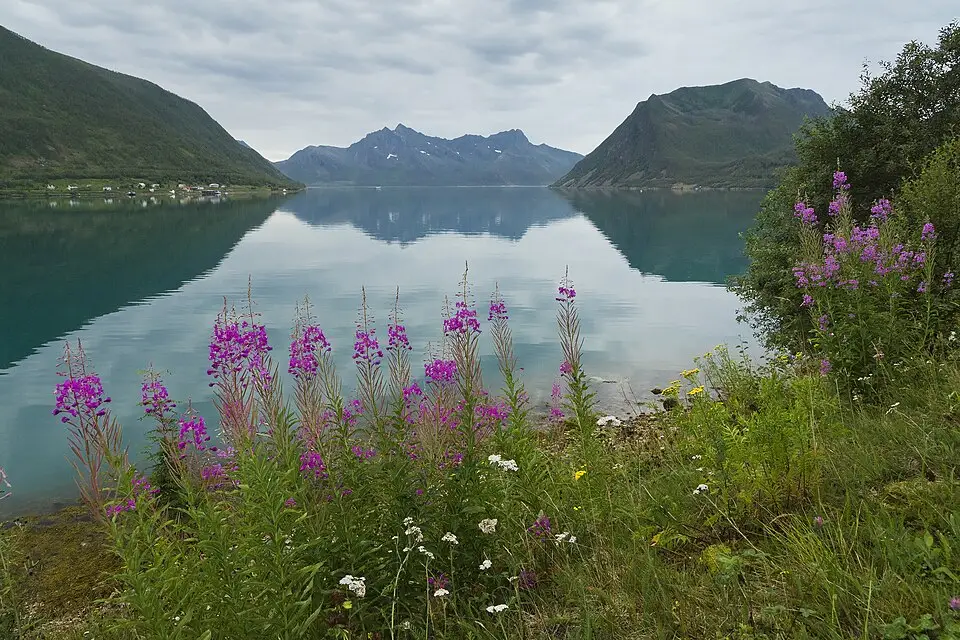 Authentischer Reisemoment in Norwegische Fjorde – passend zu Busreise Norwegische Fjorde mit Halbpension – Reiseguide