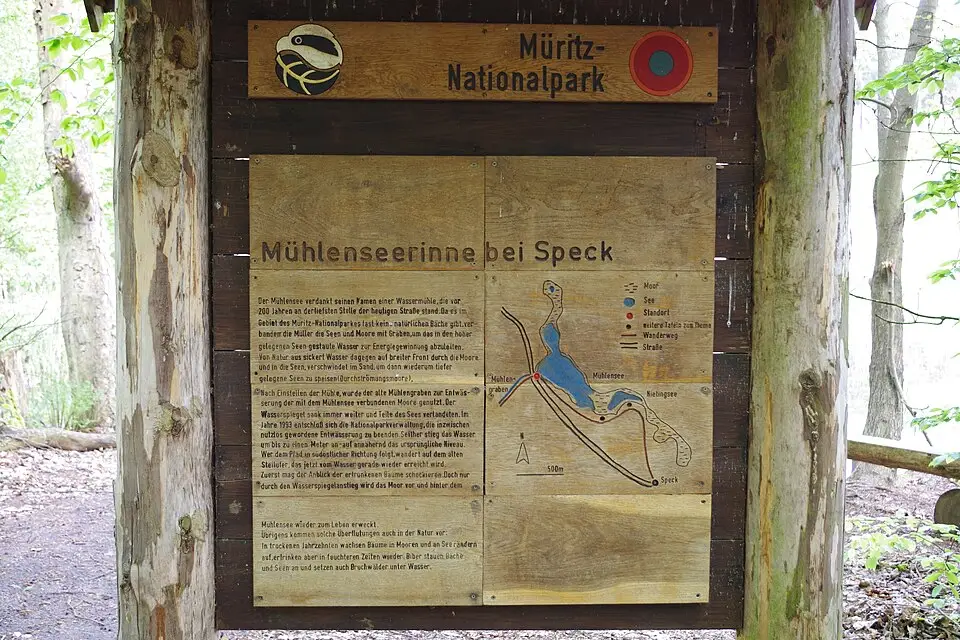 Authentischer Reisemoment in Mecklenburgischen Seenplatte – passend zu Mecklenburgische Seenplatte – Bus-Standortreise