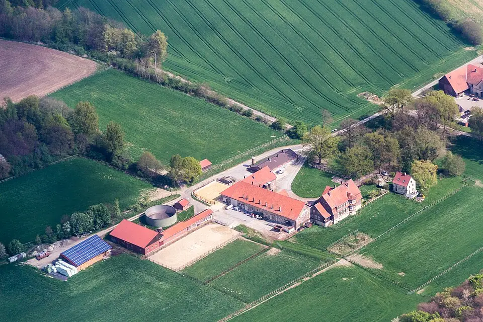 Landschaft und Sehenswürdigkeiten in Rhein für Busreise Romantischer Rhein für Paare – Reisecheck