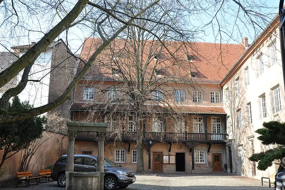 Stimmungsvolle Reiseansicht aus Elsass für Busreise Elsass mit Panoramabahn – ehrlich eingeordnet