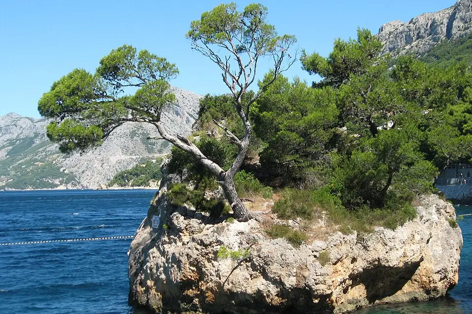 Stimmungsvolle Reiseansicht aus Dalmatien für Busreise Dalmatien mit Reiseleitung – Reiseguide