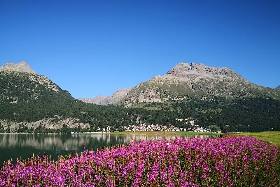 Landschaft und Sehenswürdigkeiten in Engadin für Busreise Engadin im Sommer – Reisecheck