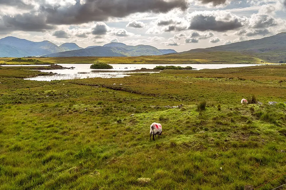Stimmungsvolle Reiseansicht aus Irland für Busreise Irland für Senioren mit Haustürabholung – Reiseguide