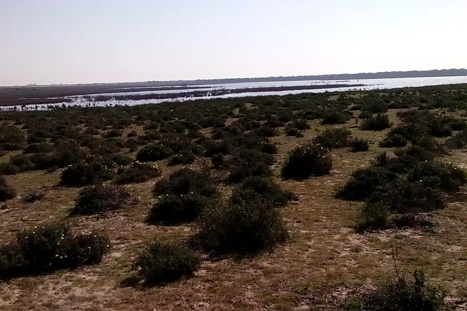 Landschaft und Sehenswürdigkeiten in Andalusien für Busreise Andalusien für Senioren mit Haustürabholung – Reisecheck