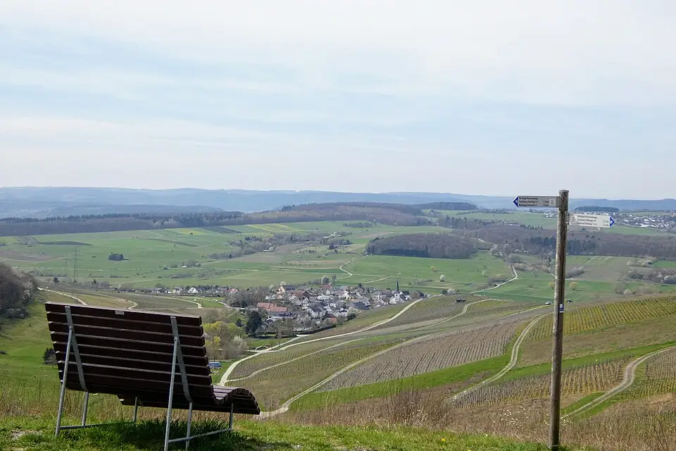 Stimmungsvolle Reiseansicht aus Mosel für Busreise Mosel ab Hamburg – Dauer & Komfort