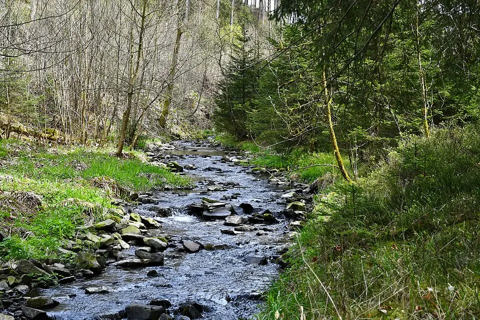 Landschaft und Sehenswürdigkeiten in Harz für Naturreise Harz mit dem Bus – Reisecheck