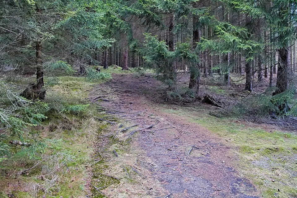 Landschaft und Sehenswürdigkeiten in Harz für Busreise Harz mit Panoramabahn – Tipps zur Auswahl