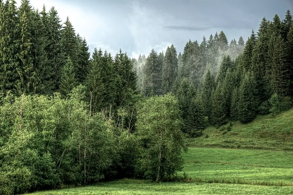 Stimmungsvolle Reiseansicht aus Bayerischen Wald für Busreise Bayerischer Wald ab Hamburg – Route & Leistungen