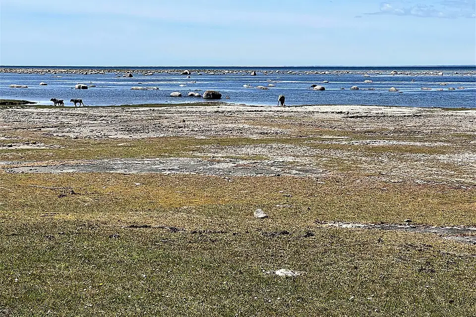 Authentischer Reisemoment in Südschweden – passend zu Busreise Südschweden ohne Nachtfahrt – Reisecheck