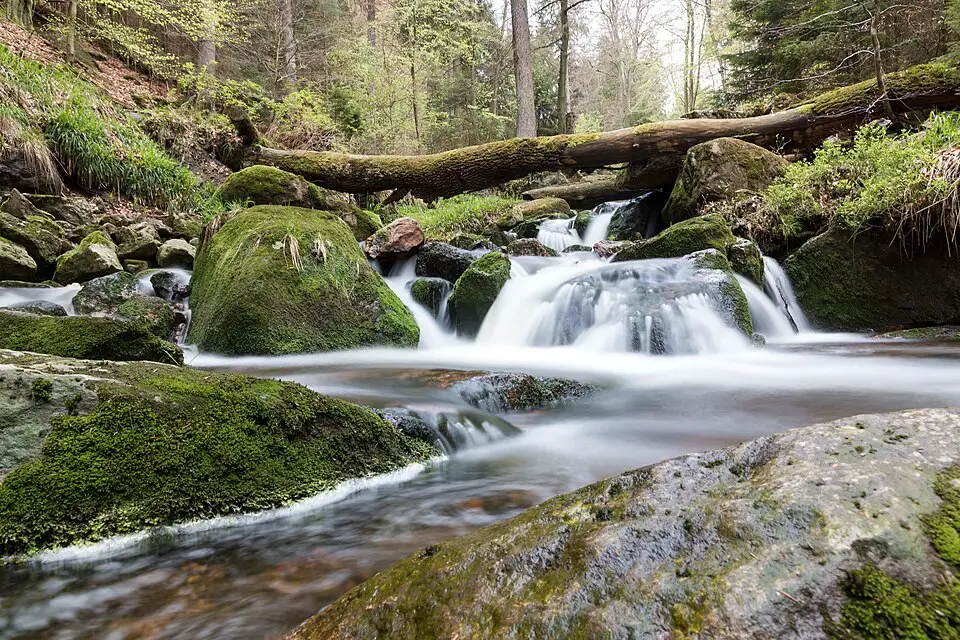 Stimmungsvolle Reiseansicht aus Harz für Busreise Harz 5 Tage – Route & Leistungen
