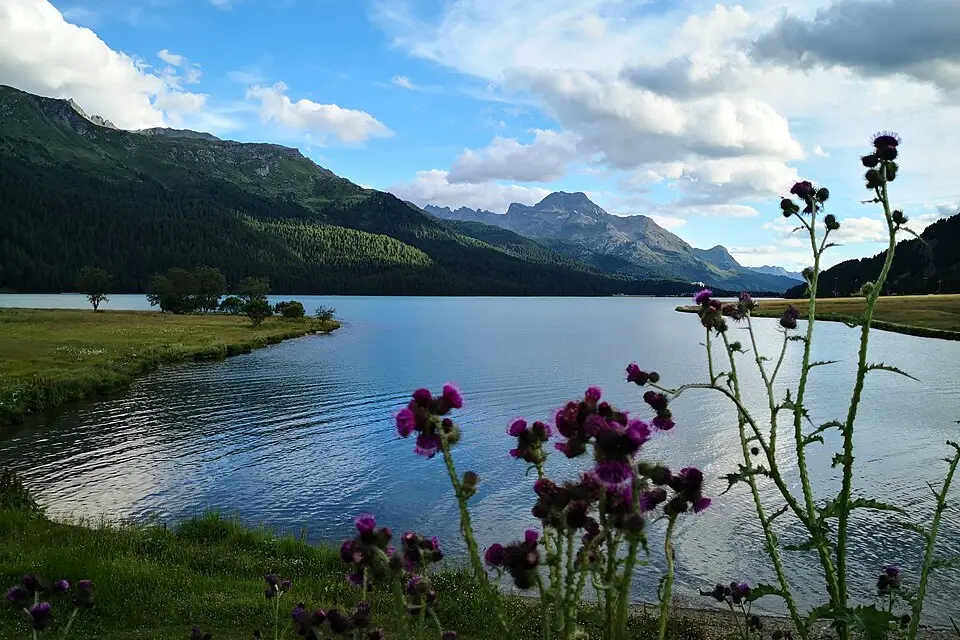 Stimmungsvolle Reiseansicht aus Engadin für Singlereise Engadin mit dem Bus – Reiseguide