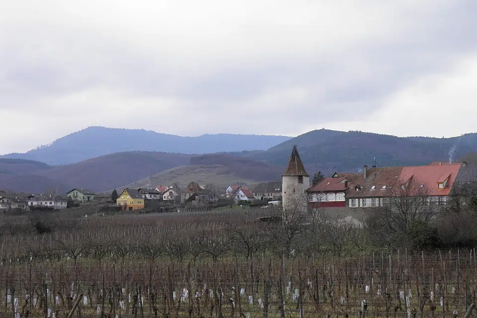 Landschaft und Sehenswürdigkeiten in Elsass für Busreise Elsass im Winter – Route & Leistungen