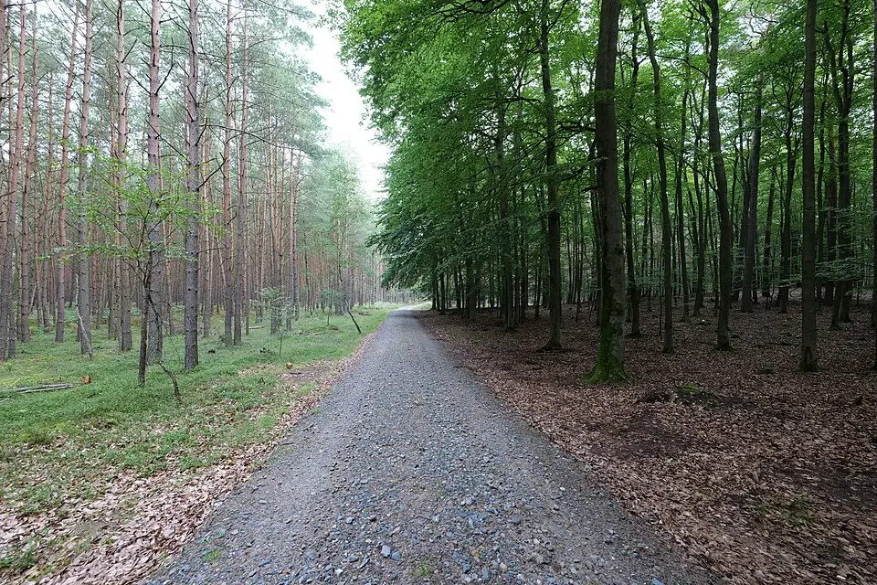 Stimmungsvolle Reiseansicht aus Mecklenburgischen Seenplatte für Gruppenreise Mecklenburgische Seenplatte mit dem Bus – Reiseguide