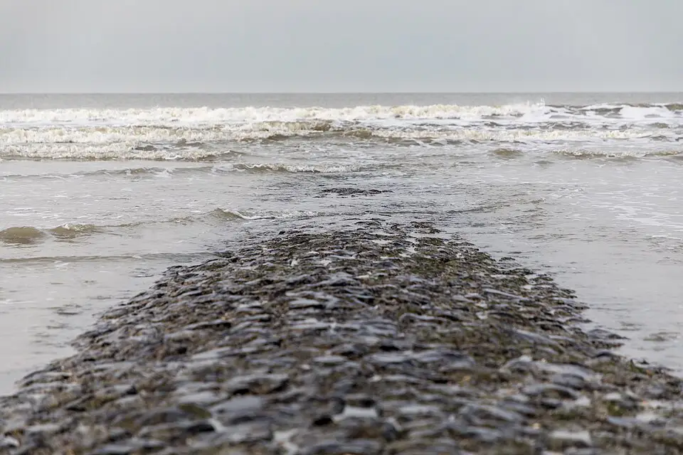 Landschaft und Sehenswürdigkeiten in Nordsee für Günstige Busreise Nordsee – Dauer & Komfort