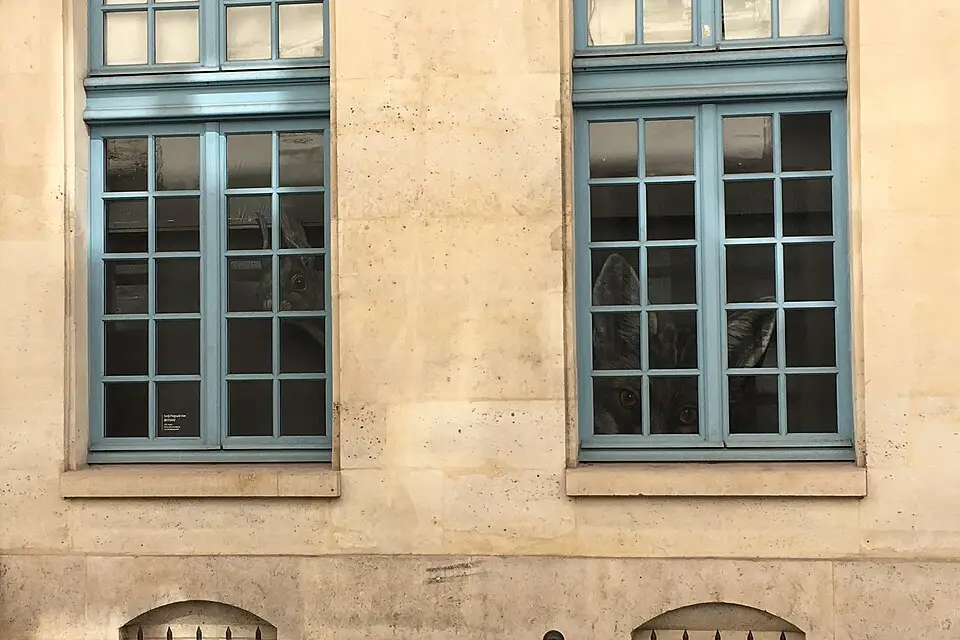 Authentischer Reisemoment in Paris – passend zu Busreise Paris im Sommer – ehrlich eingeordnet