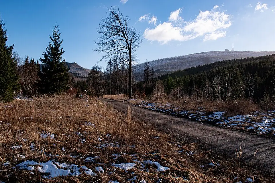Stimmungsvolle Reiseansicht aus Harz für Busreise Harz mit Haustürabholung – ehrlich eingeordnet