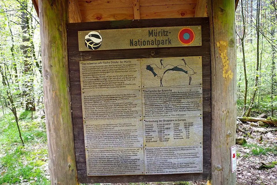 Landschaft und Sehenswürdigkeiten in Mecklenburgischen Seenplatte für Mecklenburgische Seenplatte – Bus-Standortreise