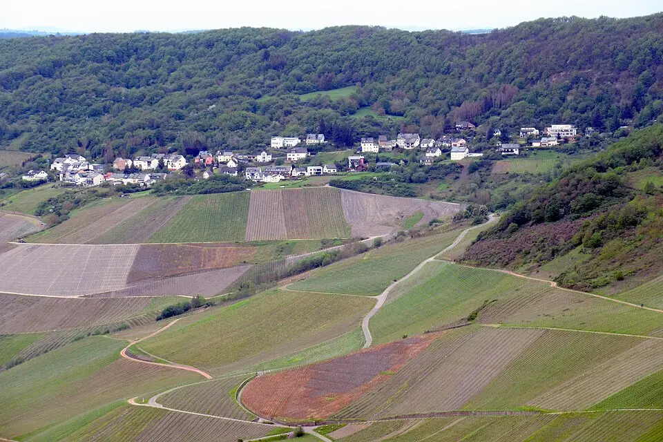 Landschaft und Sehenswürdigkeiten in Mosel für Naturreise Mosel mit dem Bus – ehrlich eingeordnet