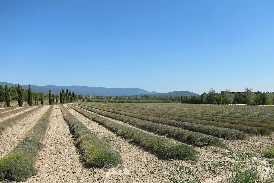 Stimmungsvolle Reiseansicht aus Provence für Busreise Provence mit viel Freizeit – Dauer & Komfort