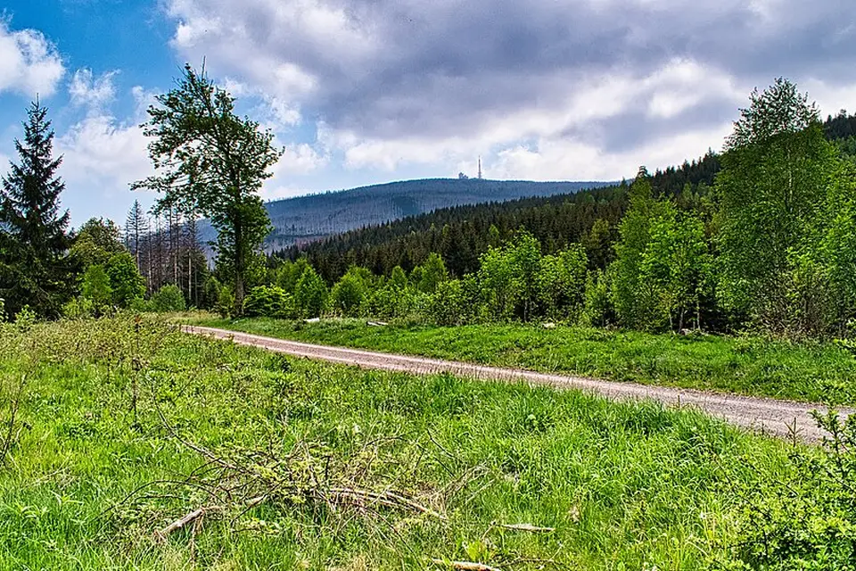 Landschaft und Sehenswürdigkeiten in Harz für Busreise Harz mit Haustürabholung – ehrlich eingeordnet