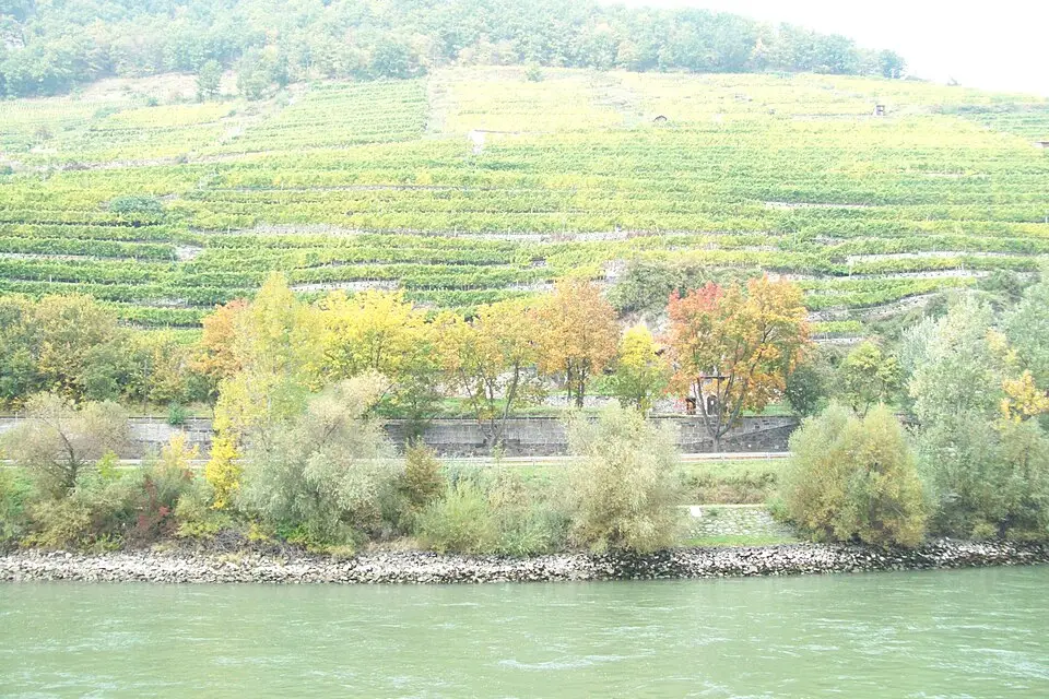 Authentischer Reisemoment in Wachau – passend zu Rundreise Wachau mit dem Bus – Tipps zur Auswahl