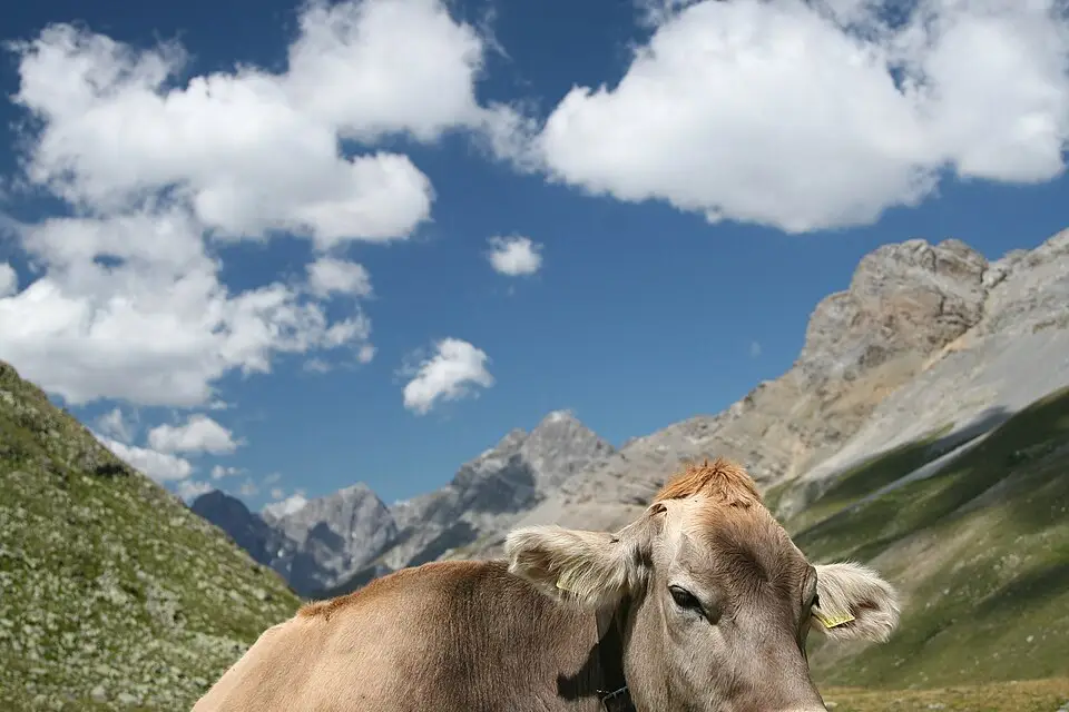 Landschaft und Sehenswürdigkeiten in Engadin für Busreise Engadin ab Berlin – ehrlich eingeordnet