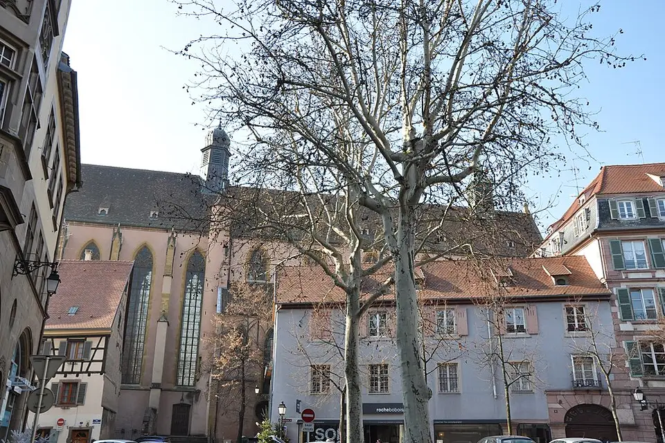 Landschaft und Sehenswürdigkeiten in Elsass für Busreise Elsass mit Rollator – Route & Leistungen