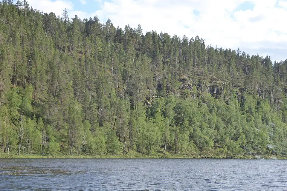 Authentischer Reisemoment in Finnland – passend zu Busreise Finnland mit wenig Gehstrecke – Reiseguide