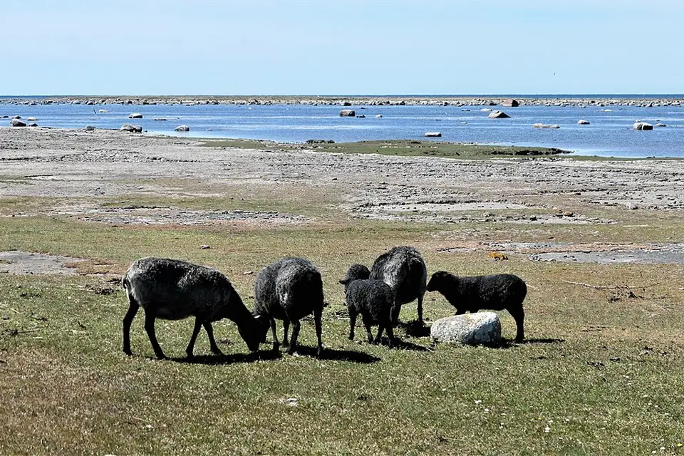 Stimmungsvolle Reiseansicht aus Südschweden für Busreise Südschweden ohne Nachtfahrt – Reisecheck