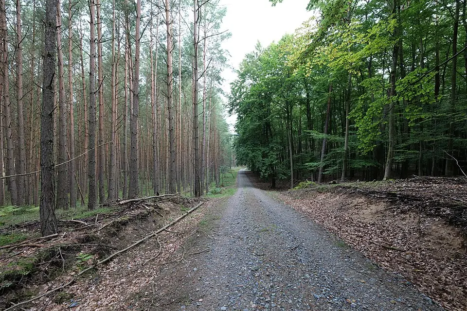 Landschaft und Sehenswürdigkeiten in Mecklenburgischen Seenplatte für Gruppenreise Mecklenburgische Seenplatte mit dem Bus – Reiseguide