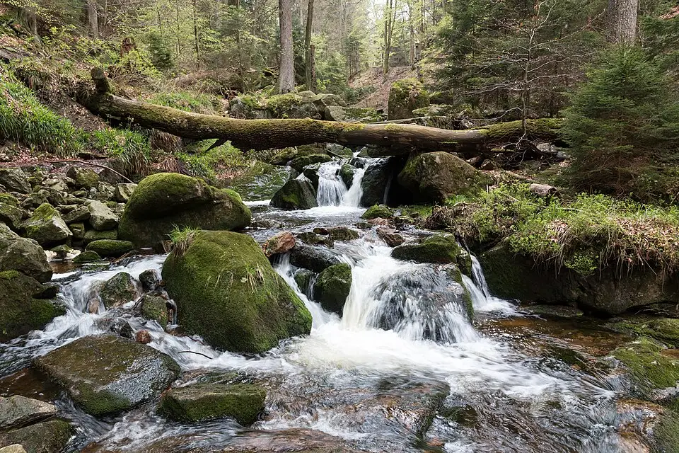 Authentischer Reisemoment in Harz – passend zu Busreise Harz 5 Tage – Route & Leistungen