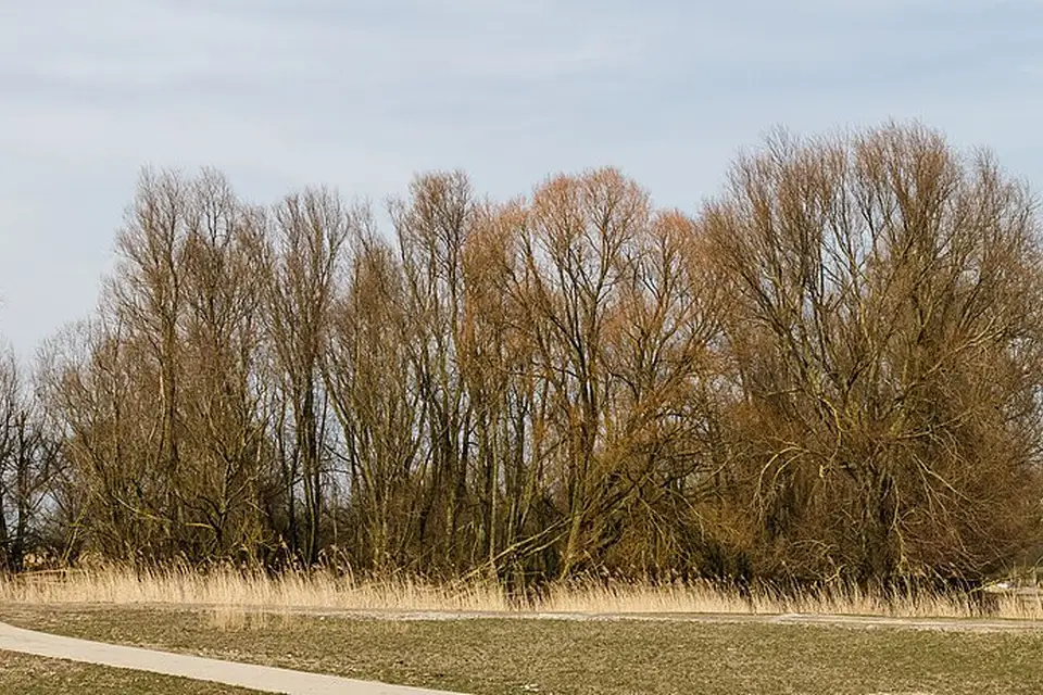 Authentischer Reisemoment in Amsterdam – passend zu Busreise Amsterdam mit Schifffahrt – ehrlich eingeordnet