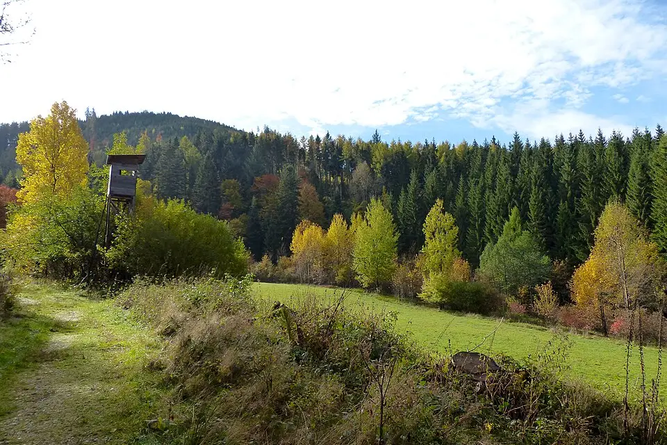 Authentischer Reisemoment in Schwarzwald – passend zu Schwarzwald – Seniorenreise mit Abholservice