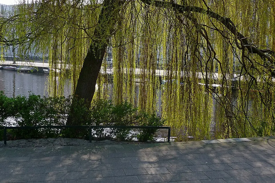 Landschaft und Sehenswürdigkeiten in Amsterdam für Busreise Amsterdam ohne Nachtfahrt – Route & Leistungen