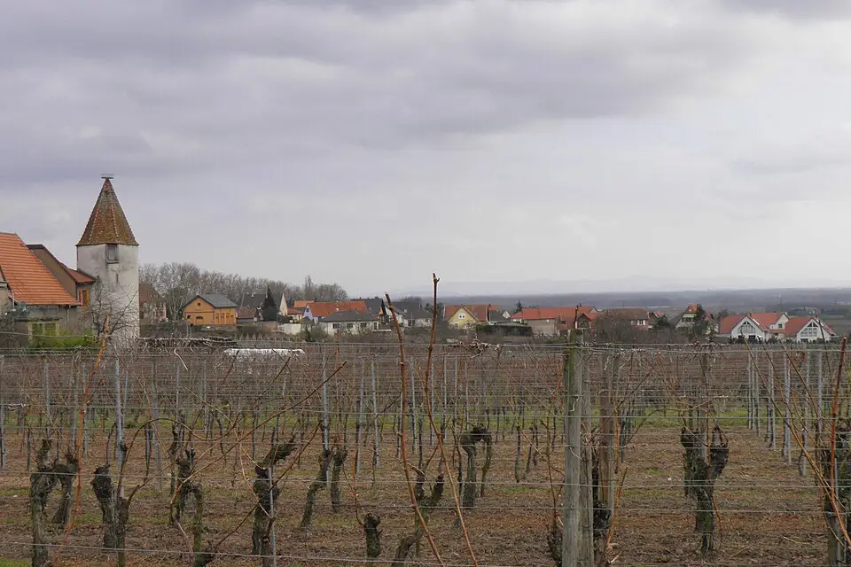Authentischer Reisemoment in Elsass – passend zu Busreise Elsass im Winter – Route & Leistungen