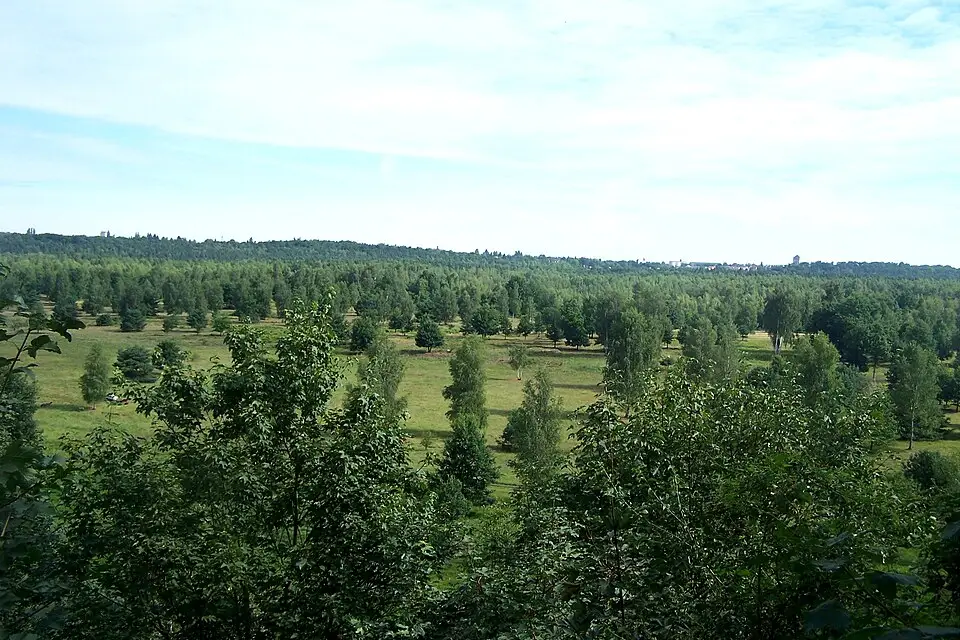 Landschaft und Sehenswürdigkeiten in Dresden für Busreise Dresden im Herbst – Reisecheck