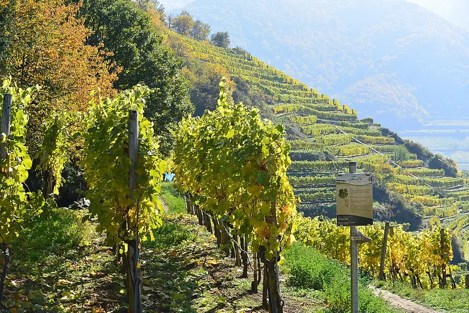 Landschaft und Sehenswürdigkeiten in Wachau für Busreise Wachau 5 Tage – Dauer & Komfort
